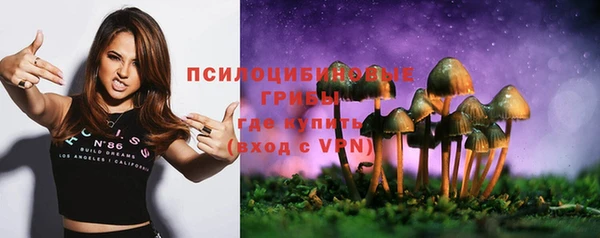 индика Нея