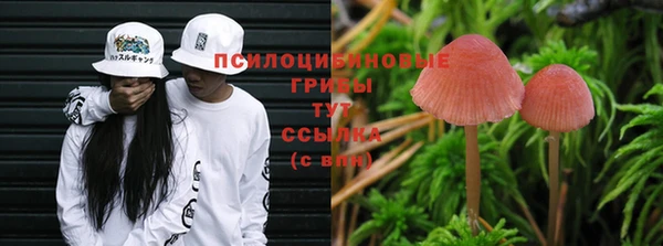 гидра Нефтекумск