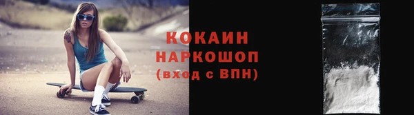 сатива Новодвинск