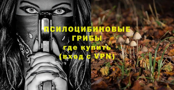 стаф Алексин